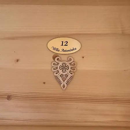 Antonowka וילה *